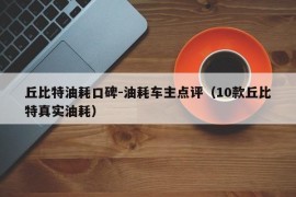 丘比特油耗口碑-油耗车主点评（10款丘比特真实油耗）