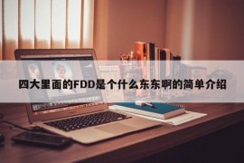 四大里面的FDD是个什么东东啊的简单介绍