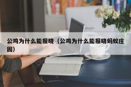 公鸡为什么能报晓（公鸡为什么能报晓蚂蚁庄园）