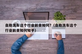 自助洗车这个行业前景如何?（自助洗车这个行业前景如何知乎）