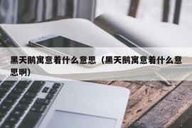 黑天鹅寓意着什么意思（黑天鹅寓意着什么意思啊）