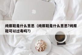 纯原鞋是什么意思（纯原鞋是什么意思?纯原鞋可以过毒吗?）