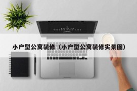 小户型公寓装修（小户型公寓装修实景图）