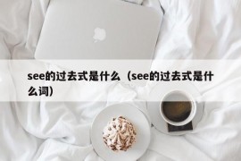 see的过去式是什么（see的过去式是什么词）