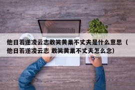 他日若遂凌云志敢笑黄巢不丈夫是什么意思（他日若遂凌云志 敢笑黄巢不丈夫怎么念）