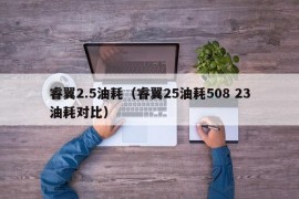 睿翼2.5油耗（睿翼25油耗508 23油耗对比）