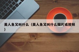 美人鱼又叫什么（美人鱼又叫什么图片或视频）