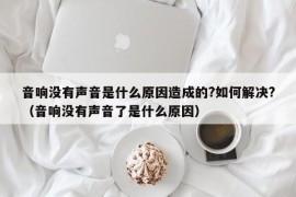 音响没有声音是什么原因造成的?如何解决?（音响没有声音了是什么原因）