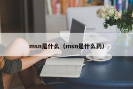 msn是什么（msn是什么药）