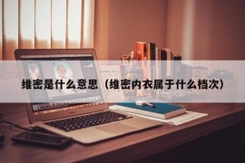 维密是什么意思（维密内衣属于什么档次）