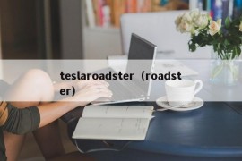 teslaroadster（roadster）