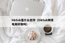 tiktok是什么软件（tiktok跨境电商好做吗）