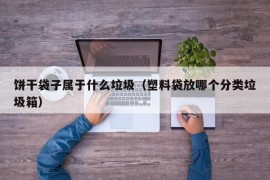 饼干袋子属于什么垃圾（塑料袋放哪个分类垃圾箱）