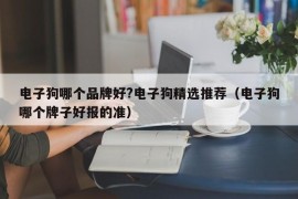 电子狗哪个品牌好?电子狗精选推荐（电子狗哪个牌子好报的准）