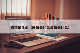 感情是什么（感情是什么爱情是什么）