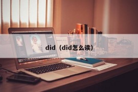 did（did怎么读）