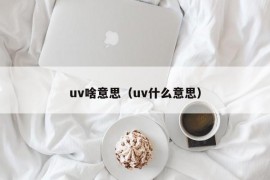 uv啥意思（uv什么意思）