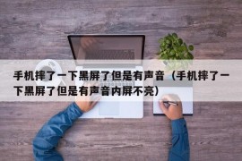 手机摔了一下黑屏了但是有声音（手机摔了一下黑屏了但是有声音内屏不亮）