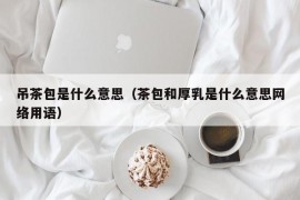 吊茶包是什么意思（茶包和厚乳是什么意思网络用语）