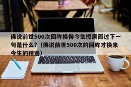 佛说前世500次回眸换得今生擦肩而过下一句是什么?（佛说前世500次的回眸才换来今生的相遇）