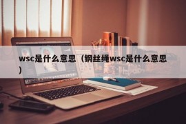 wsc是什么意思（钢丝绳wsc是什么意思）