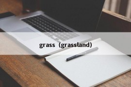 grass（grassland）