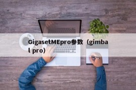 GigasetMEpro参数（gimbal pro）