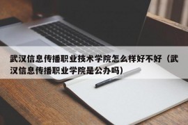 武汉信息传播职业技术学院怎么样好不好（武汉信息传播职业学院是公办吗）