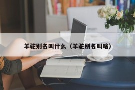 羊驼别名叫什么（羊驼别名叫啥）