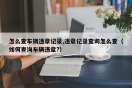 怎么查车辆违章记录,违章记录查询怎么查（如何查询车辆违章?）