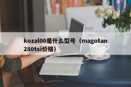 kozal00是什么型号（magotan280tsi价格）