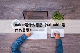 value是什么意思（valuable是什么意思）