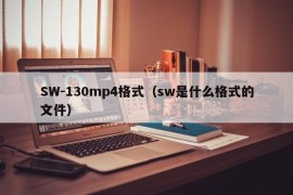 SW-130mp4格式（sw是什么格式的文件）