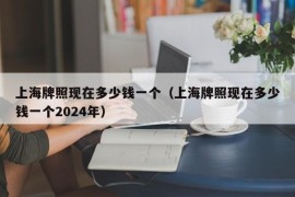 上海牌照现在多少钱一个（上海牌照现在多少钱一个2024年）