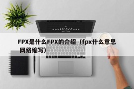 FPX是什么FPX的介绍（fpx什么意思 网络缩写）