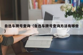 自选车牌号查询（自选车牌号查询方法有哪些）