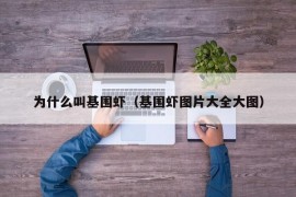 为什么叫基围虾（基围虾图片大全大图）