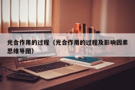 光合作用的过程（光合作用的过程及影响因素思维导图）