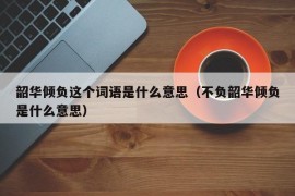 韶华倾负这个词语是什么意思（不负韶华倾负是什么意思）