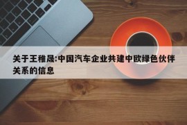 关于王稚晟:中国汽车企业共建中欧绿色伙伴关系的信息