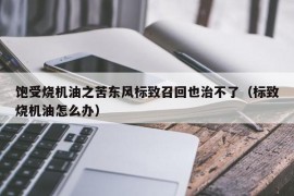 饱受烧机油之苦东风标致召回也治不了（标致烧机油怎么办）