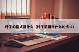 种子的格式是什么（种子后面带什么的格式）