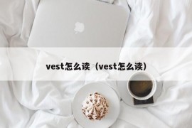 vest怎么读（vest怎么读）