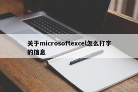 关于microsoftexcel怎么打字的信息