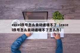 excel序号怎么自动递增不了（excel序号怎么自动递增不了怎么办）