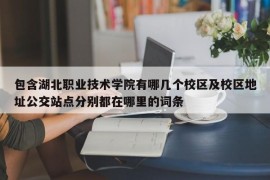 包含湖北职业技术学院有哪几个校区及校区地址公交站点分别都在哪里的词条