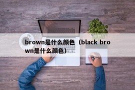 brown是什么颜色（black brown是什么颜色）