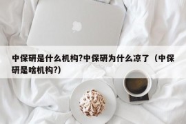 中保研是什么机构?中保研为什么凉了（中保研是啥机构?）