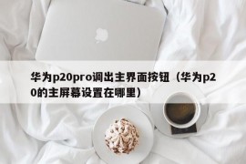 华为p20pro调出主界面按钮（华为p20的主屏幕设置在哪里）