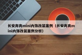 长安奔奔mini内饰改装案例（长安奔奔mini内饰改装案例分析）